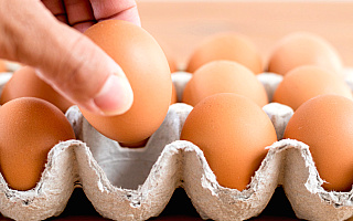 Jajka to skarbnica witamin i minerałów. Mogą je jeść nawet małe dzieci